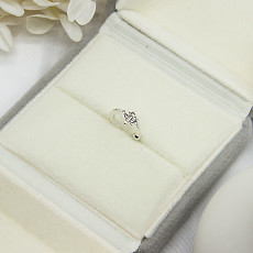 O terno de prata Diamond Cartilage Hoop Earrings Princess cortou Diamond Stud Earrings
