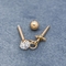 Rose Gold Ear Piercing Jewellery 316 parafusos prisioneiros perfurando de aço inoxidável 16G 8mm